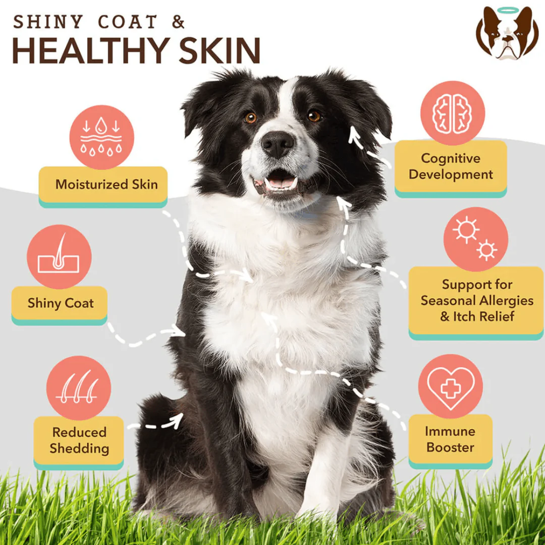 Natural Dog Company Skin & Coat Oil - Image 3