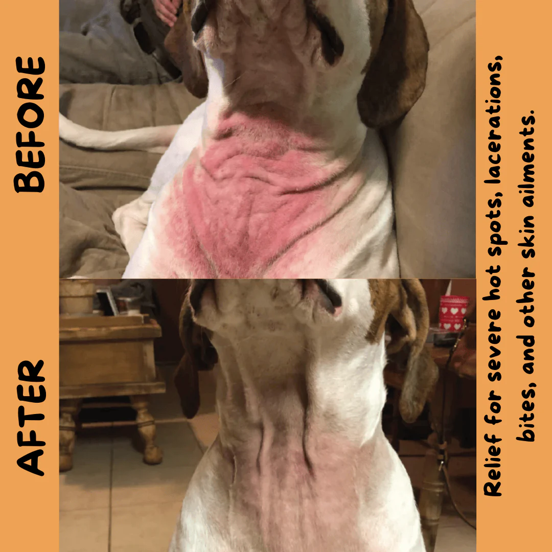 Natural Dog Company Skin Soother - Image 5