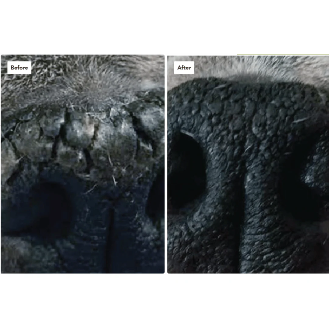 Natural Dog Company Snout Soother - Image 6