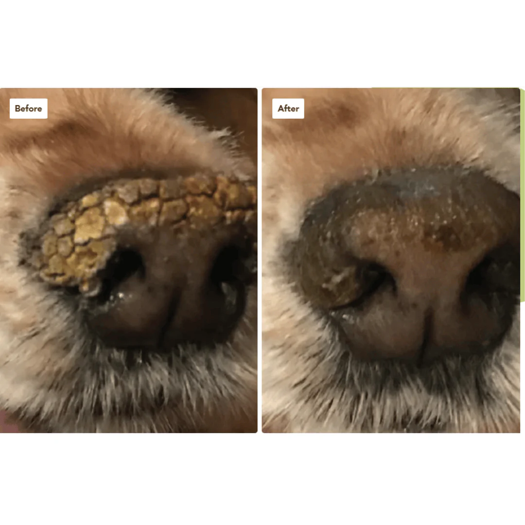 Natural Dog Company Snout Soother - Image 7