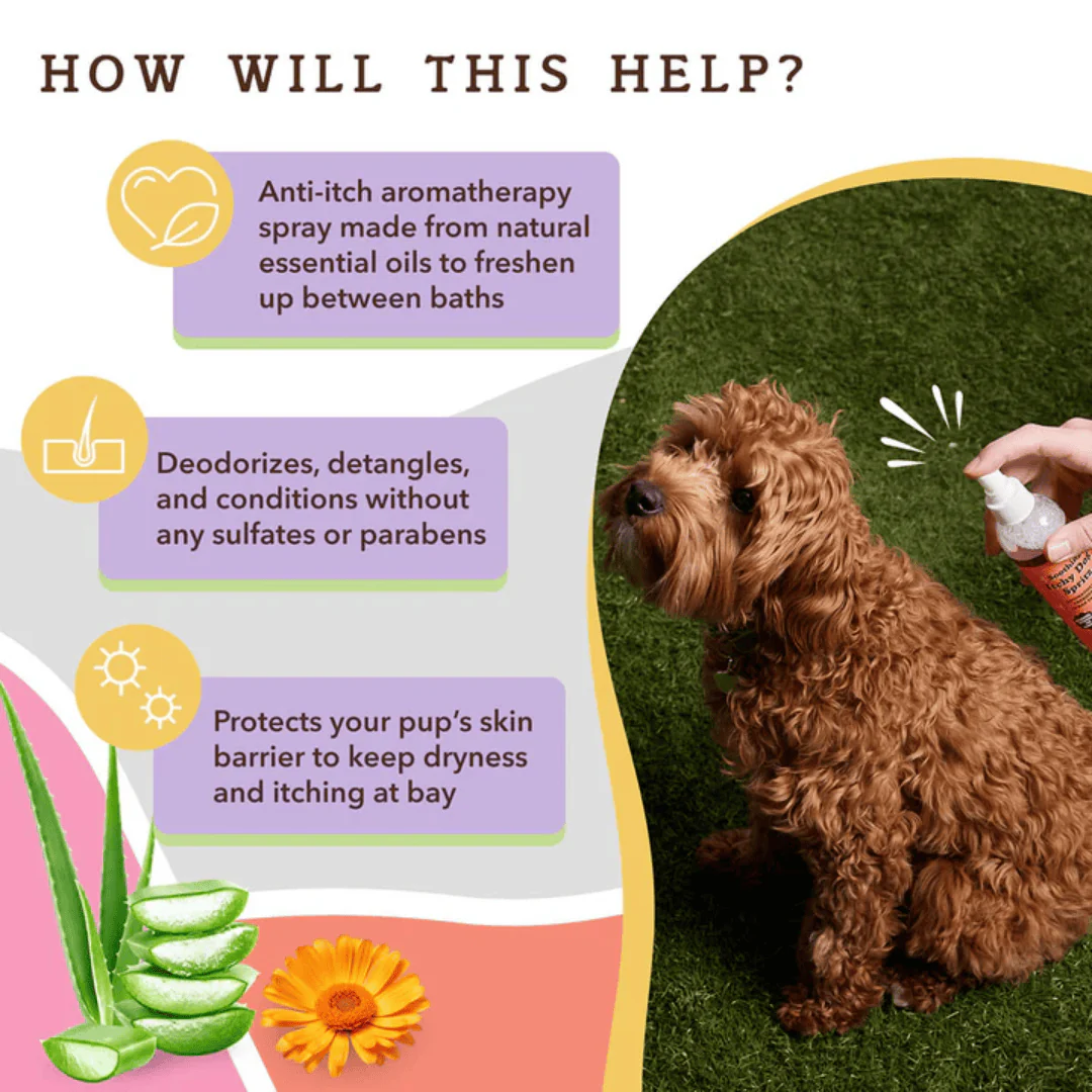 Natural Dog Company Soothing Itchy Dog Spritz - Image 3