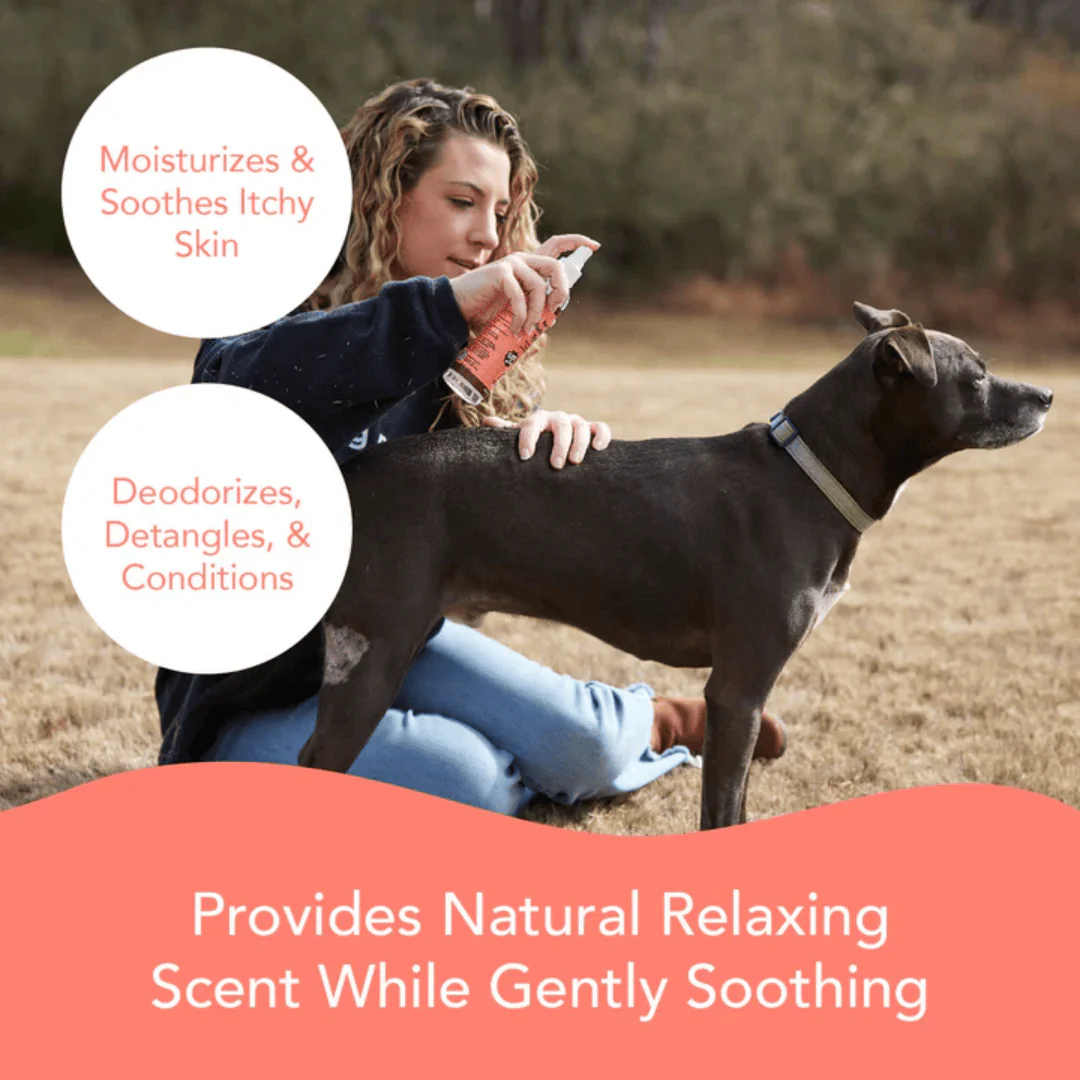 Natural Dog Company Soothing Itchy Dog Spritz - Image 5