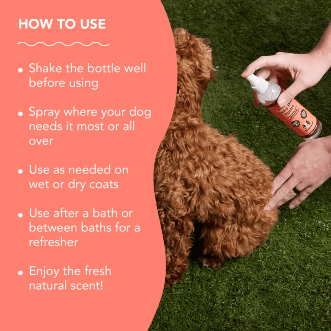 Natural Dog Company Soothing Itchy Dog Spritz - Image 6