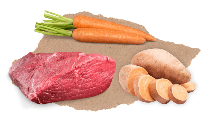 Nourish Rite Grain Free Adult Dog Food - Angus Beef - Image 3