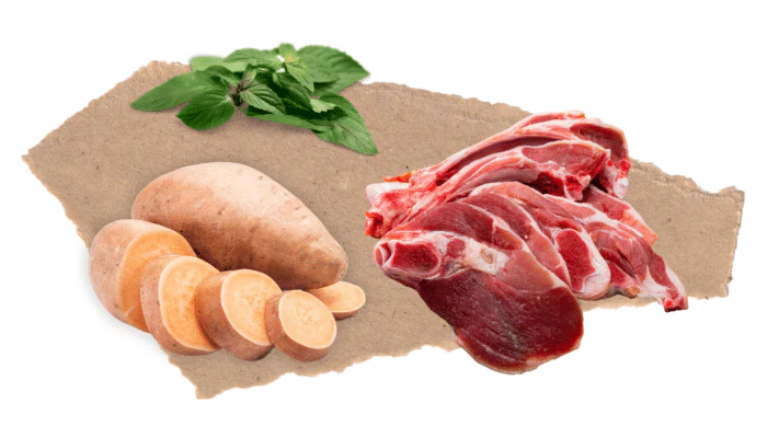 Nourish Rite Grain Free Adult Dog Food - Lamb - Image 3