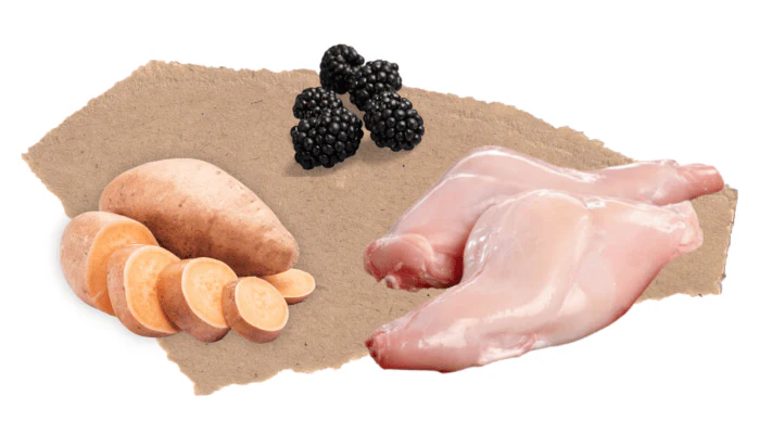 Nourish Rite Grain Free Adult - Rabbit - Image 6