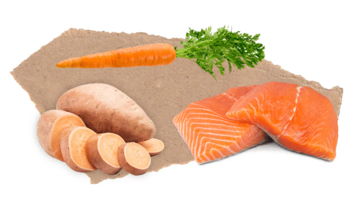 Nourish Rite Grain Free Large Breed Puppy Food - Salmon - Image 3