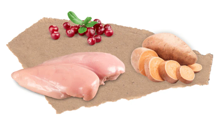 Nourish Rite Grain Free Light / Senior Dog Food - Turkey - Image 5