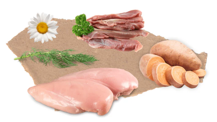 Nourish Rite Grain Free Small Breed Puppy Food - Turkey - Image 3