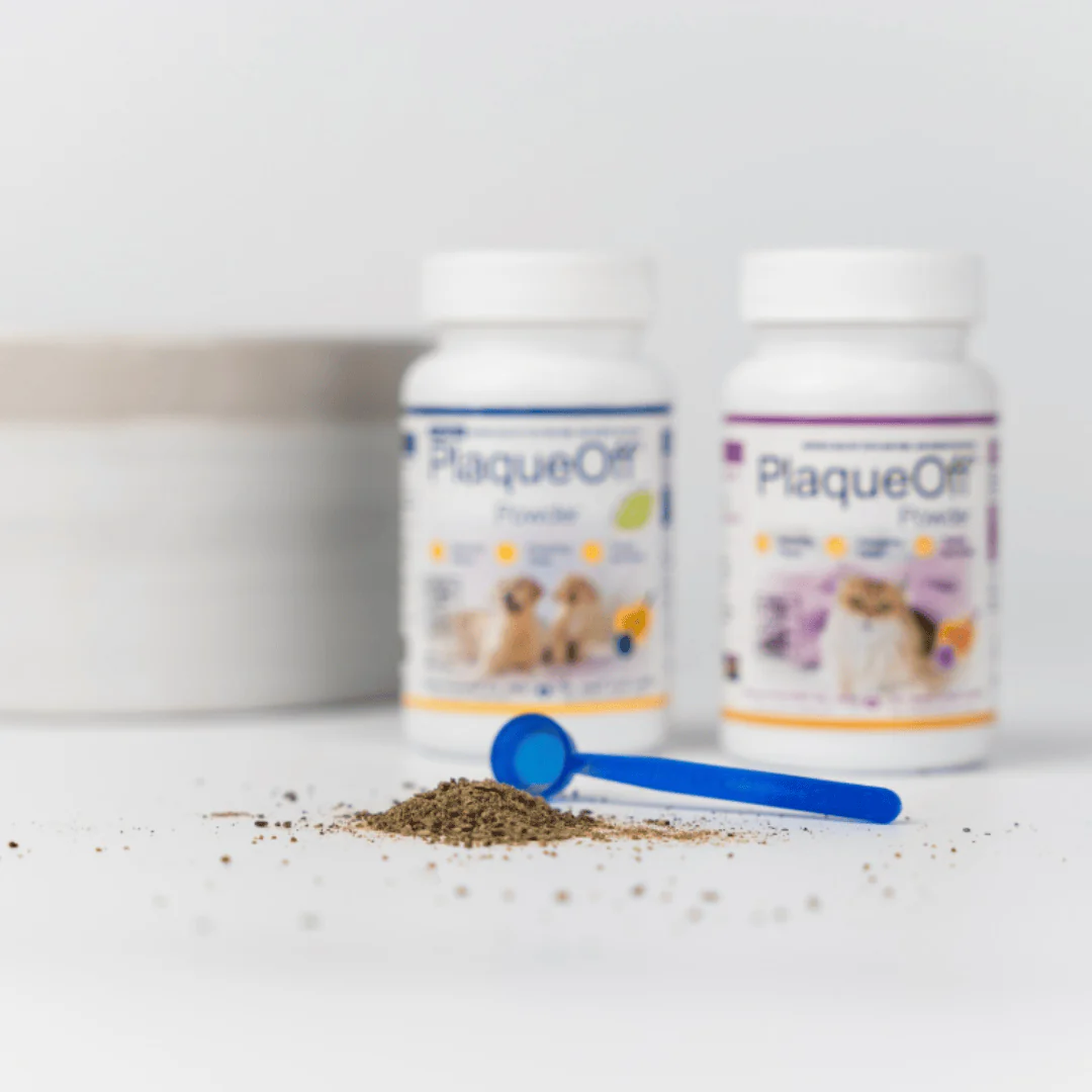 ProDen PlaqueOff Dental Powder - Image 11