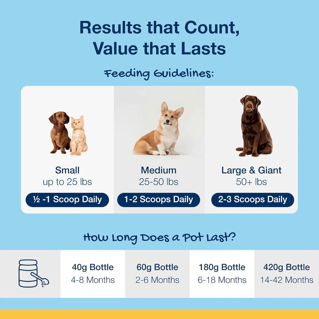 ProDen PlaqueOff Dental Powder - Image 8