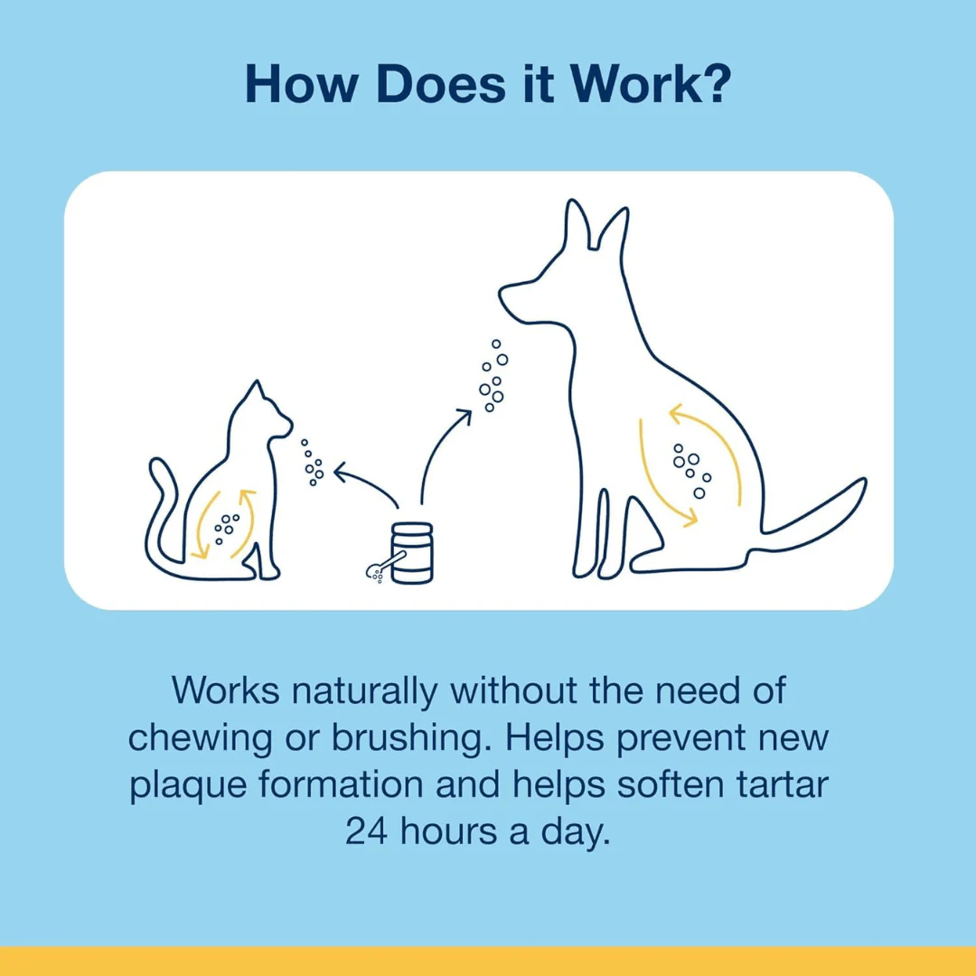 ProDen PlaqueOff Dental Powder - Image 9