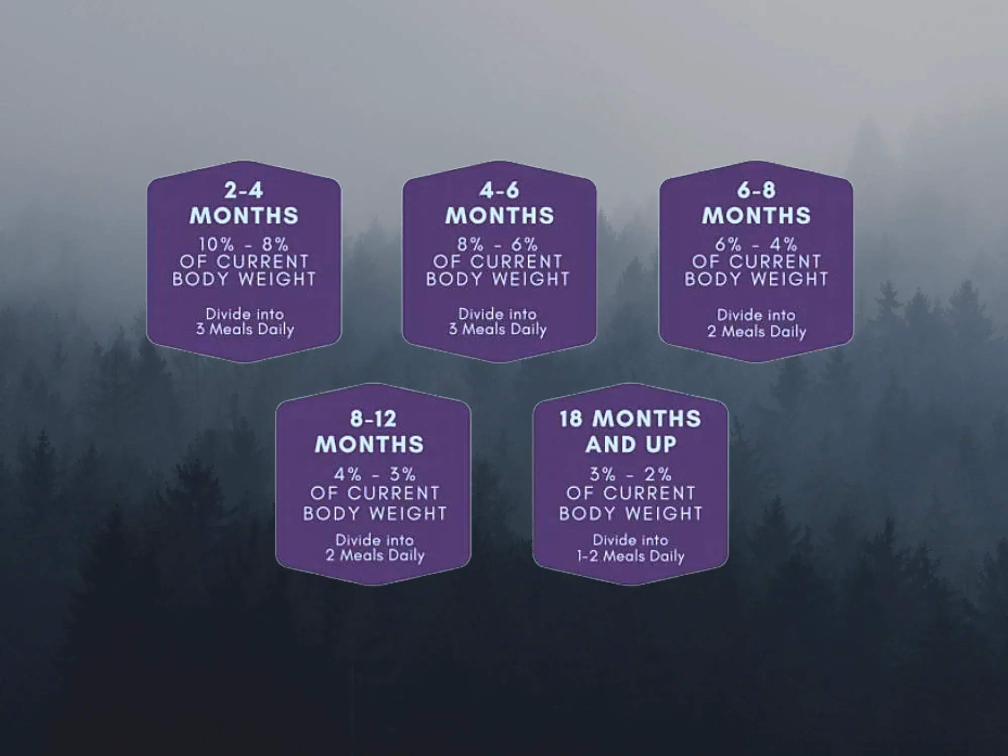 Raw Necessity Wild Venison and Duck 80:10:10 Complete 1kg - Image 4