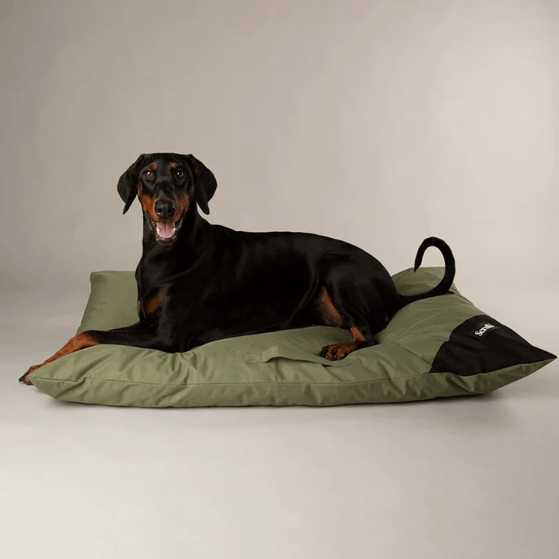 Scruffs Expedition Orthopaedic Pillow for Dogs - Image 7