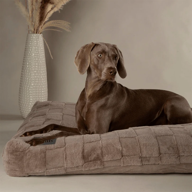 Scruffs Oxford Orthopaedic Mattress for Dogs - Image 3