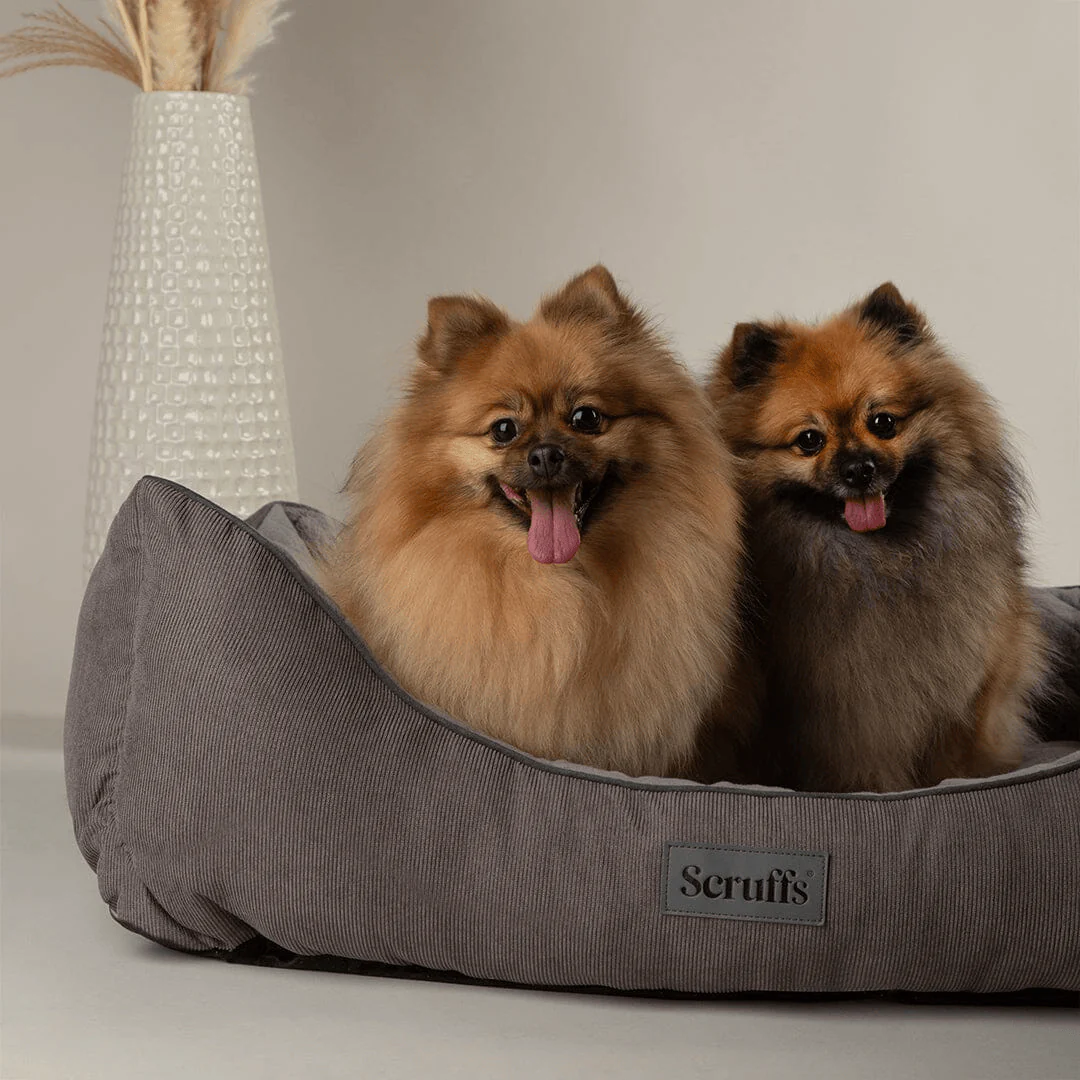 Scruffs Thermal Dog Bed - Image 6