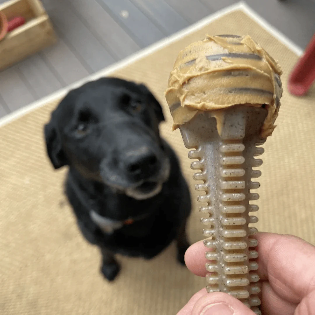 SodaPup Honey Ultra Durable Chew - Image 3